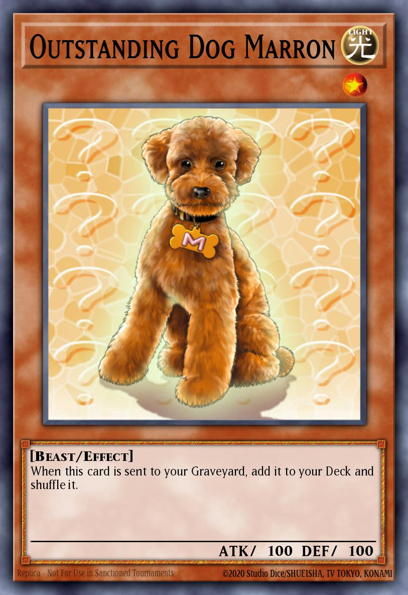 Card Image: Outstanding Dog Marron