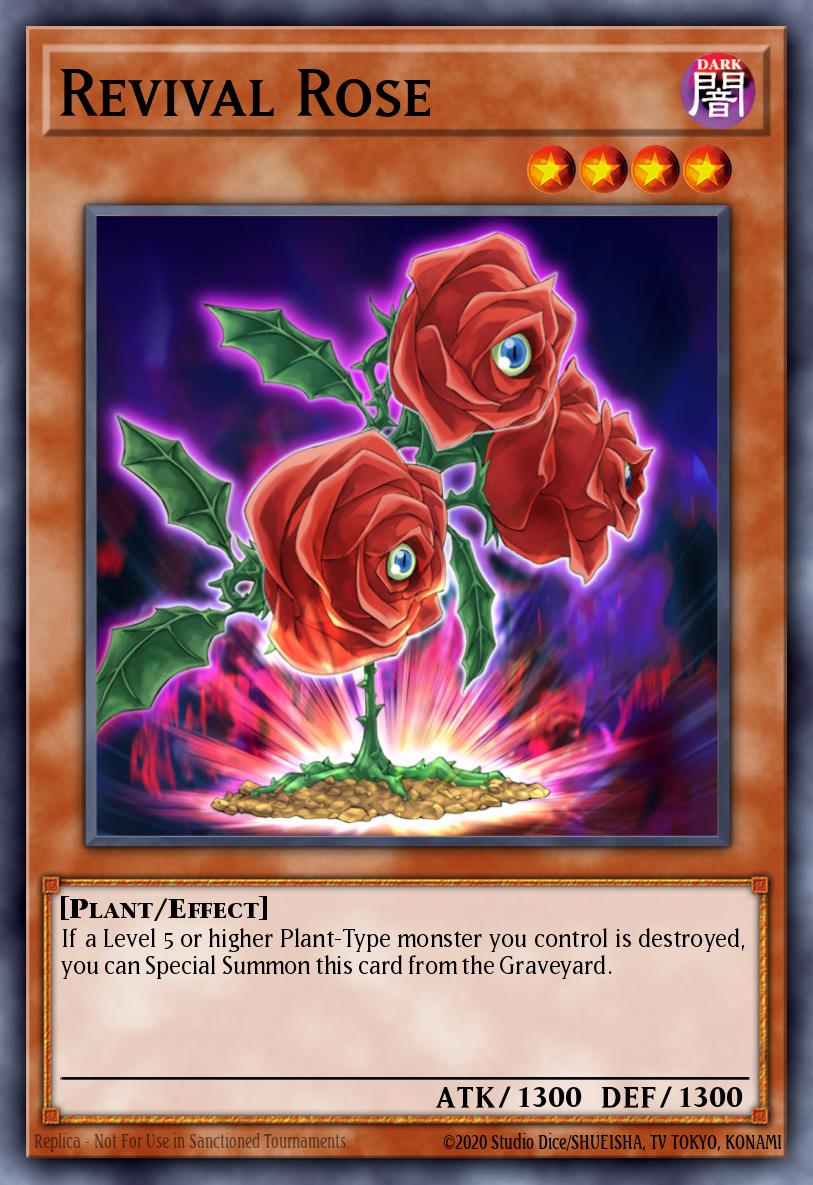 Card Image: Revival Rose
