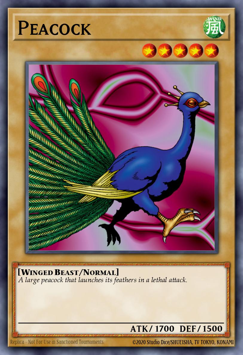 Card Image: Peacock