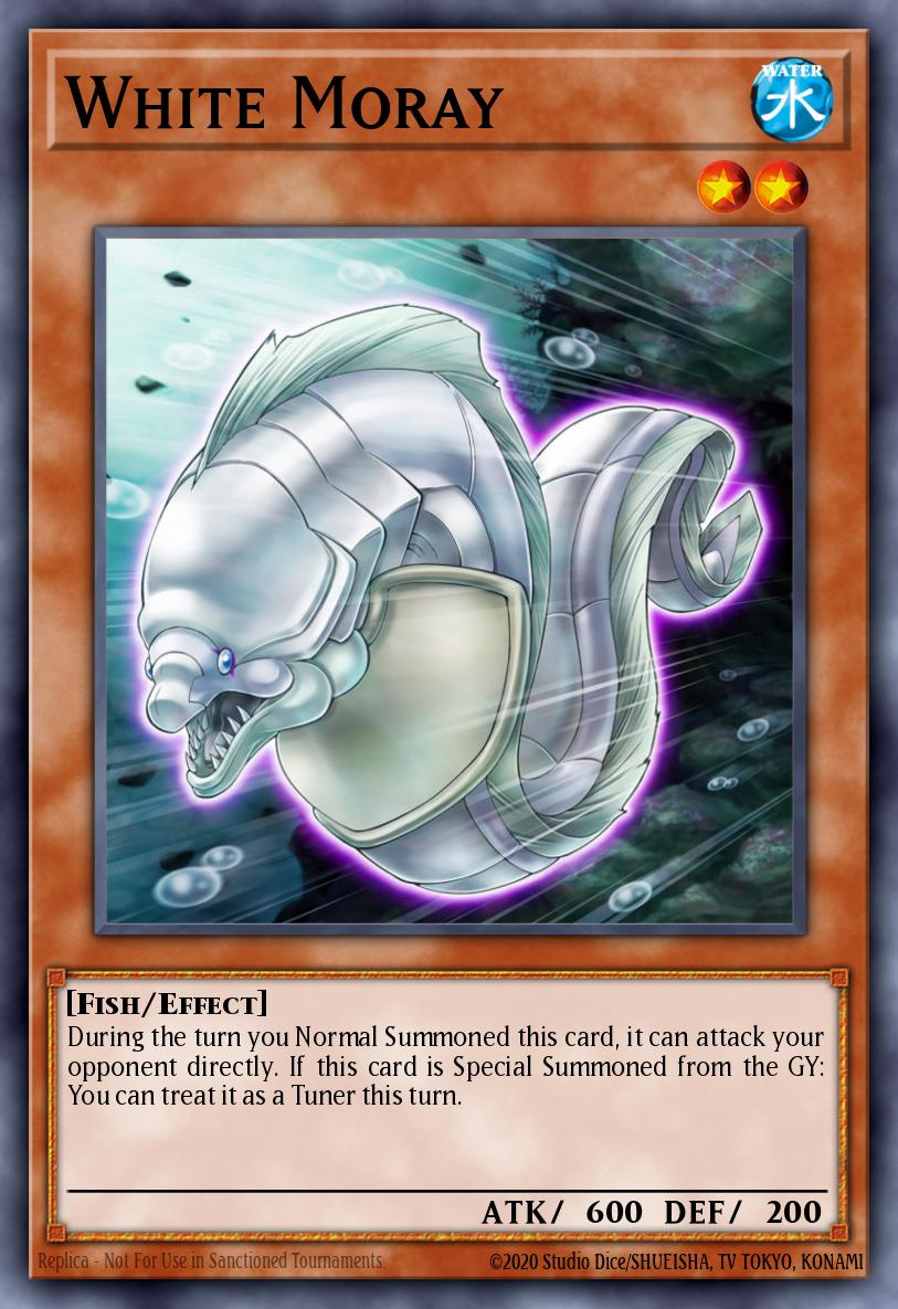 Card Image: White Moray