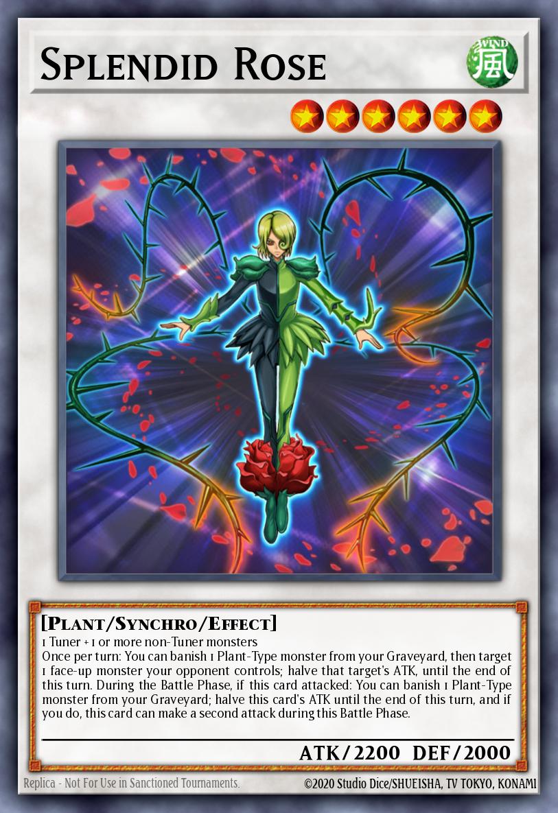 Card Image: Splendid Rose