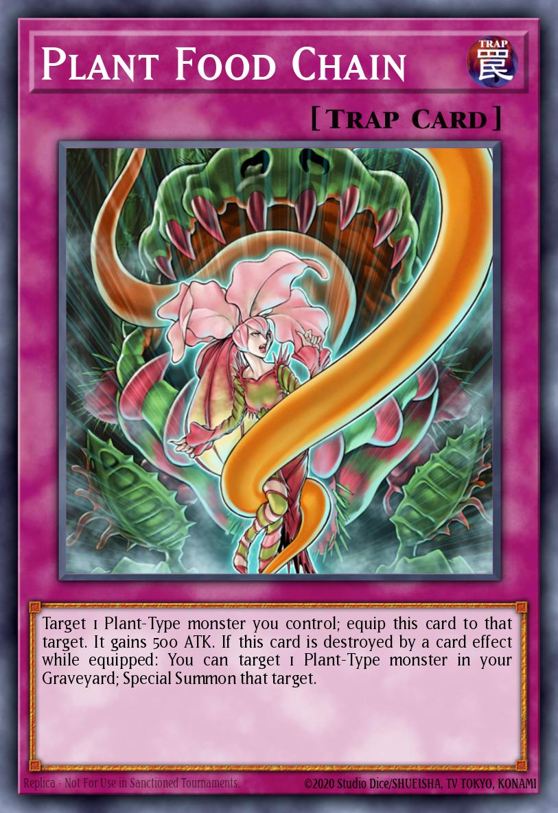 Card Image: Plant Food Chain