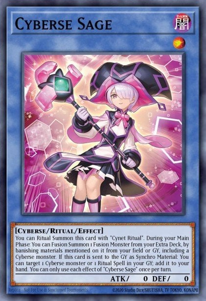 Card Image: Cyberse Sage