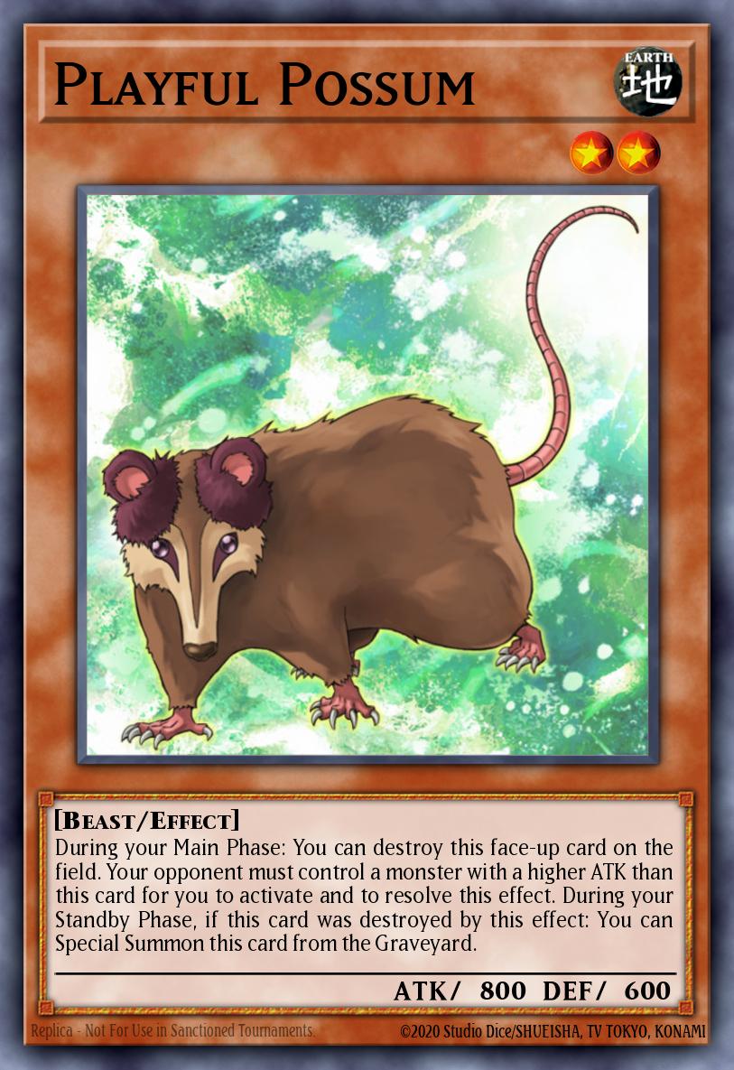 Card Image: Playful Possum