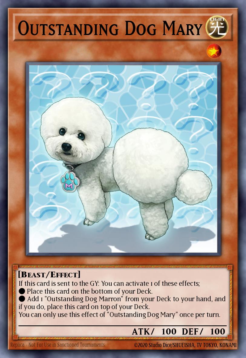 Card Image: Outstanding Dog Mary