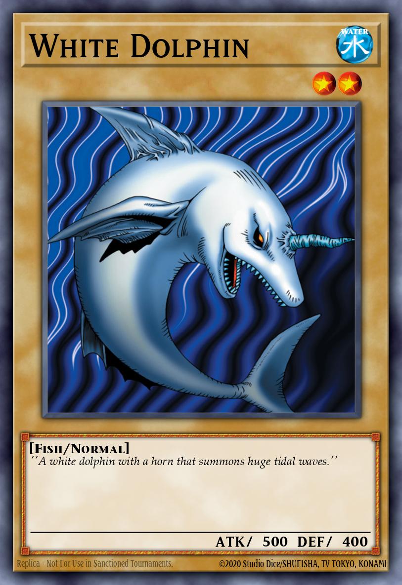 Card Image: White Dolphin