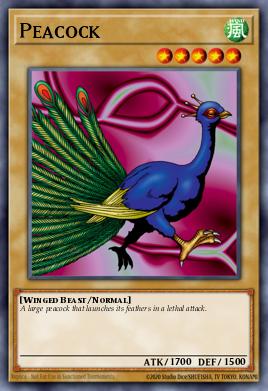 Card Image: Peacock