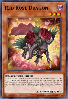 Card Image: Red Rose Dragon