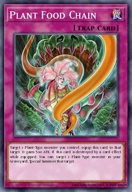 Card Image: Plant Food Chain