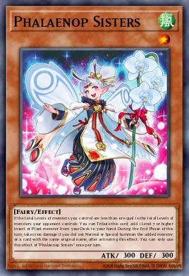 Card Image: Phalaenop Sisters