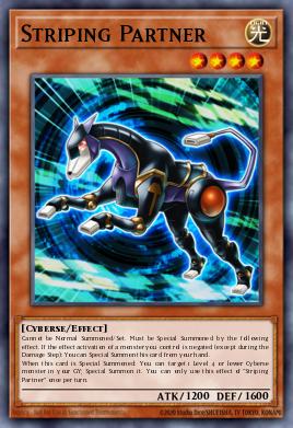 Card Image: Striping Partner