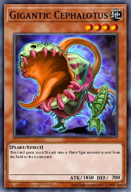 Card Image: Gigantic Cephalotus