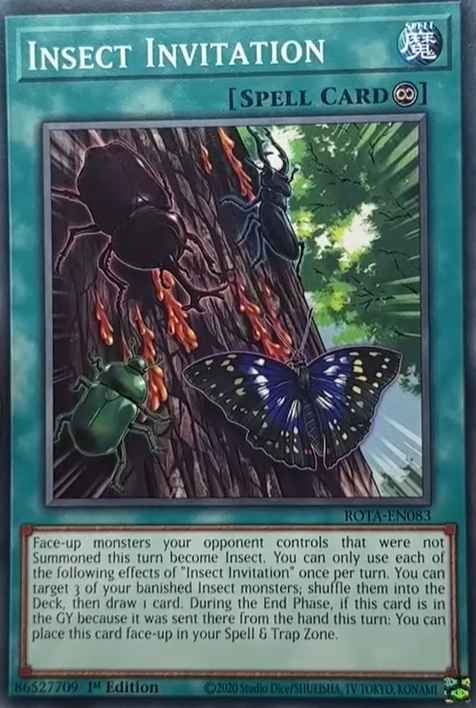 Card Image: Insect Invitation