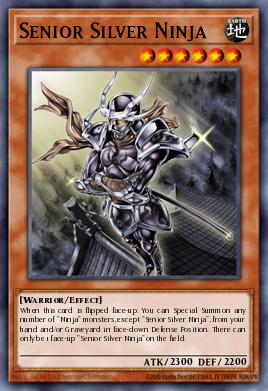 Card Image: Senior Silver Ninja